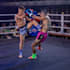 your personalized muay thai instructor