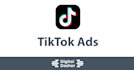 setup and manage your tiktok search ads