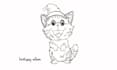 draw custom vector line art