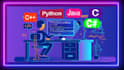 do python java programming assignments and projects