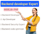 do complete backend developer bug fixer