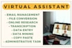 be your professional virtual assistant