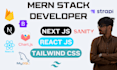 develop fix next js react js node js website bugs
