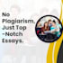 deliver top quality essays with no plaiarism or use of ai
