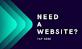 develop professional wordpress website for small business at cheap price