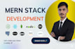 do custom website development, business website, frontend, full stack developer