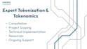 provide expert tokenization and tokenomics