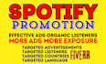 do professional spotify promotion with targeted ads