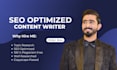 provide expert SEO blog and articles writing services