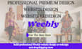 build, design or redesign a professional weebly website