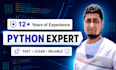 develop custom python scripts, automation, and API solutions