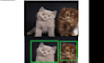 do object detection, preprocessing and bounding box