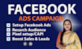 setup and manage facebook and instagram ads campaign