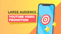 do large audience youtube video promotion