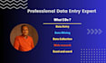 do data entry, excel, copy paste