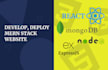do full stack development in react nextjs mongodb nestjs