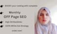 provide monthly SEO by high quality backlinks