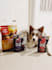 create ugc video ad with dog model