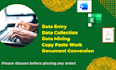 do data entry and data cleaning