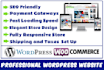 design a professional wordpress woocommerce website with a responsive layout