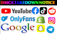 takedown defaming false negative content tiktok,yt,ig,fb,google,reddit,x by dmca