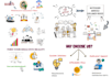 create 2d animated explainer or whiteboard animation video