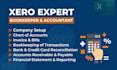 provide expert bookkeeping service using xero