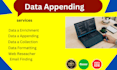 do data entry and data enrichment