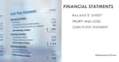 prepare financial statements, profit and loss variable