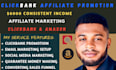 build clickbank affiliate, tik tok affiliate, and amazon affiliate website