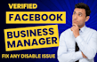 set up and fix facebook business manager and ad account with fb ads consultation