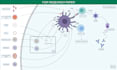 design scientific, educational figures and illustrations