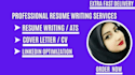 create a professional fresh resume from the ground up