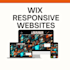 create fully professional wix website,pages,blogs,portfolios