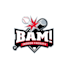 design unique excellent baseball facility logo