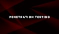 perform expert penetration testing and security audit
