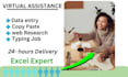 professional in virtual assistance and excel data entry