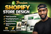 shopify website, design and redesign, premium dropshipping store design