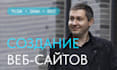make a professional website for you on tilda