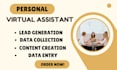 be your shopify store va and virtual executive assistance for your store