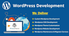do professional wordpress website development and customization