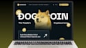create a professional meme coin website with fast delivery