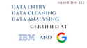 do  data entry, clean data, mine data and visualize your data