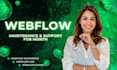 expert webflow website and ecommerce maintenance services