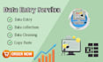 do fastest data entry in one day, internet research, copy paste