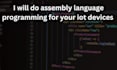 do assembly language programming for your iot devices