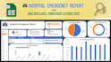 create interactive powerbi or excel reports and dashboards