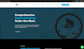 design a professional website for your business