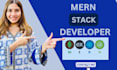 develop a professional mern stack website for you