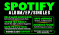 do professional spotify album promotion